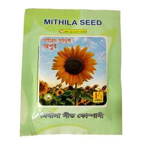 F1 হাইব্রিড সূর্যমুখী (1Kg)